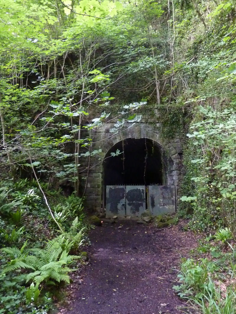 Wye Valley Railway